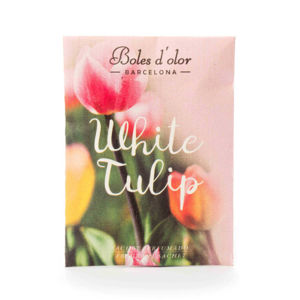 BOLES D´OLOR – Biely tulipán